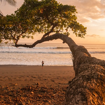 A man takes a photo of the sunset on a beach in Corcovado National Park.
