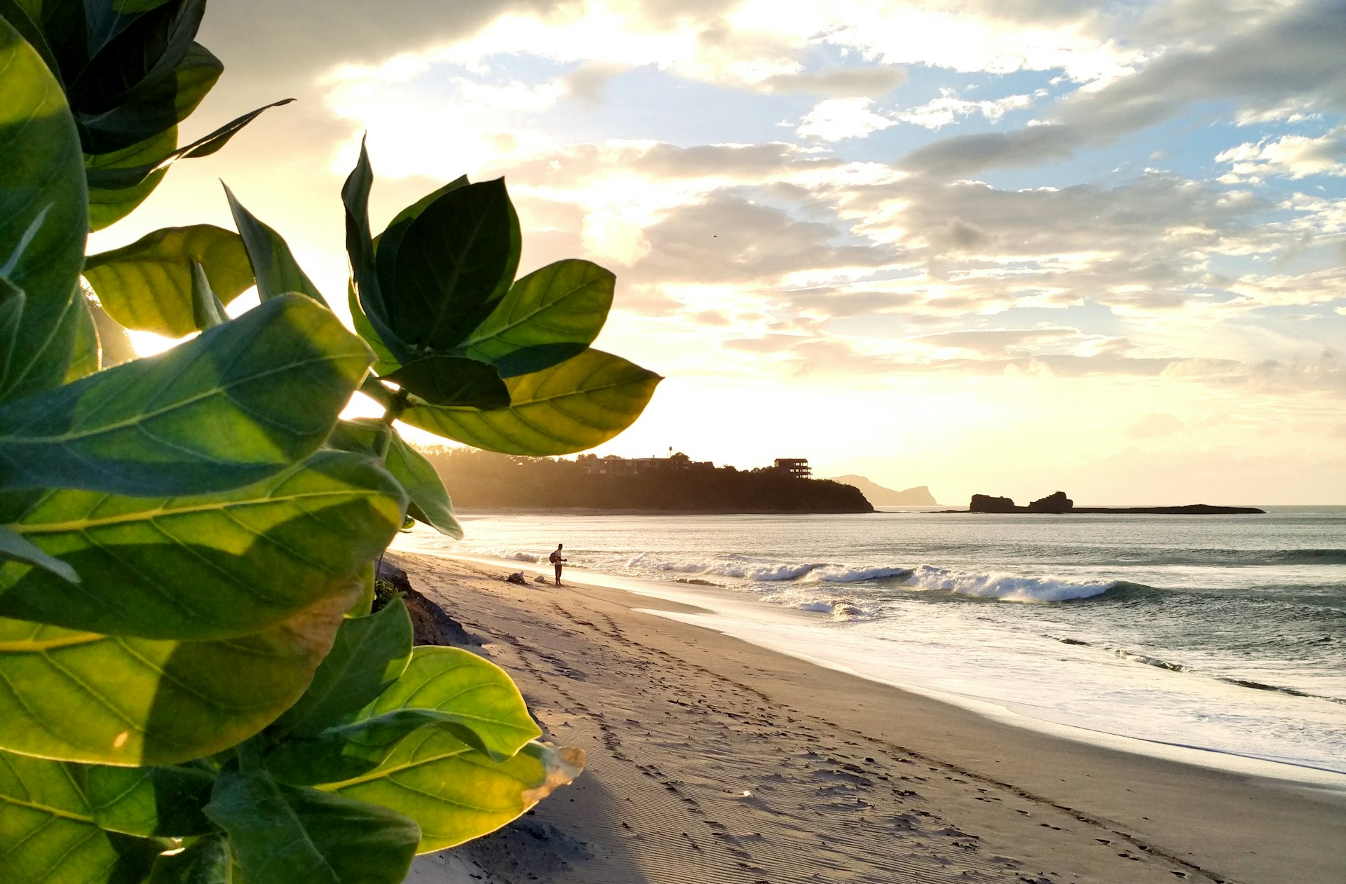 Green leaves catch the light of sunset, with surf-friendly waves seen in the distance, at Popoyo Beach, Nicaragua