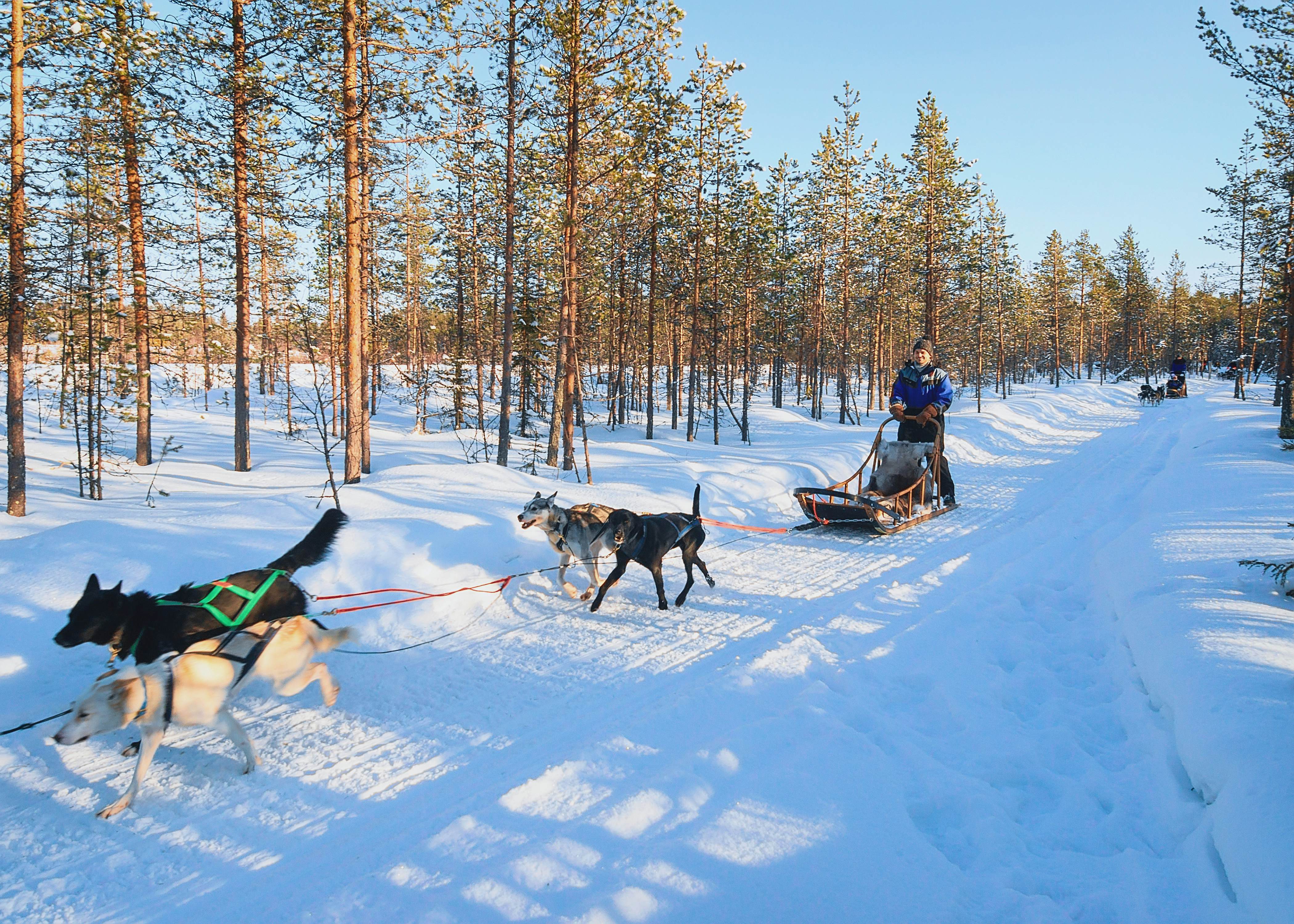 Rovaniemi Travel - Lonely Planet | Finland, Europe