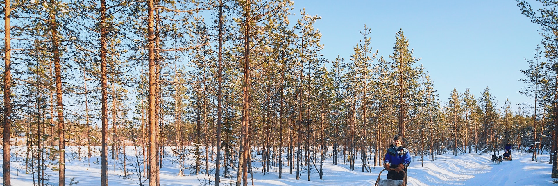 Rovaniemi, Finland - March 5, 2017: Family riding husky dogs sledge in Rovaniemi, Lapland in winter Finland