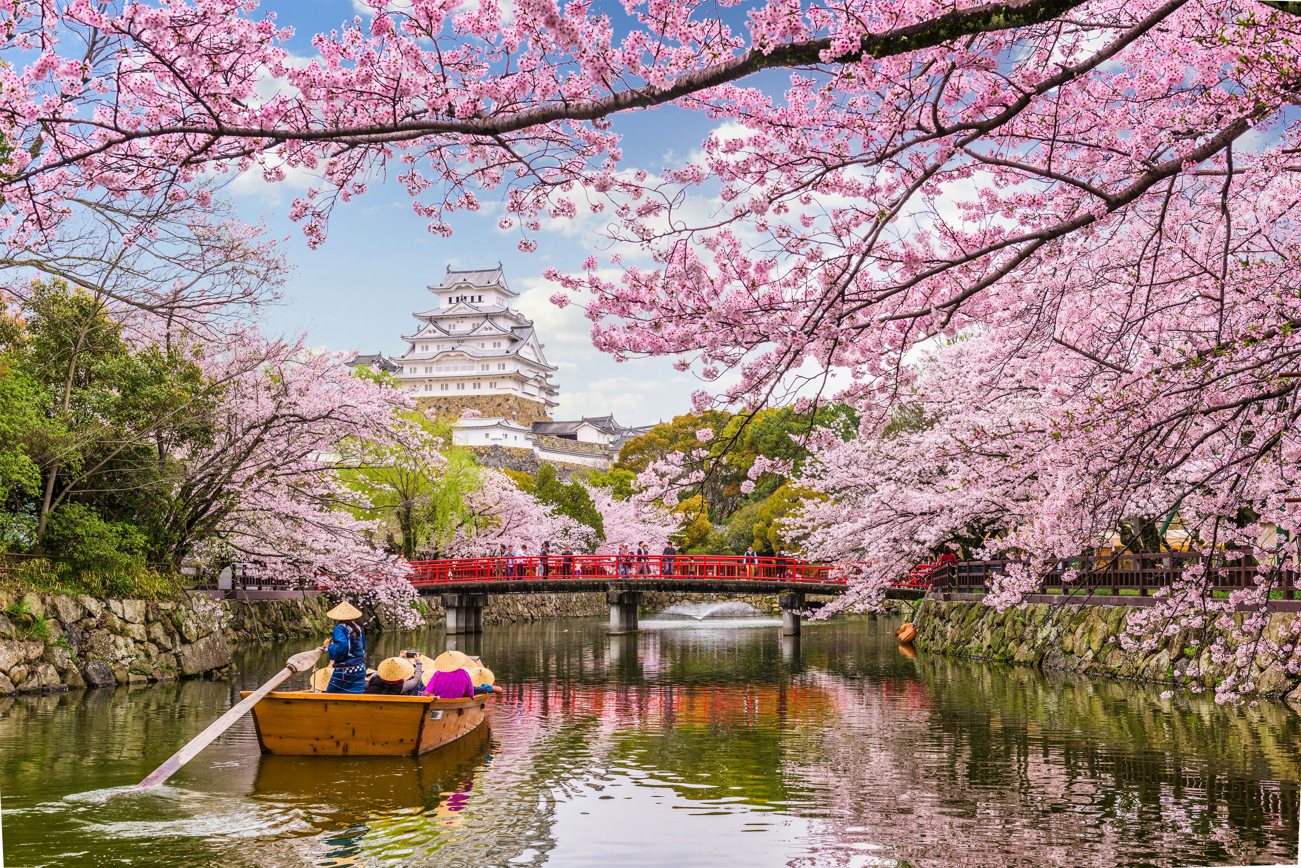 Japan travel guide - Lonely Planet | Asia