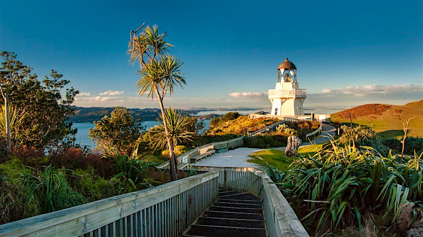 A wooden walkway leads to the Manukau Heads lighthouse with trees and greenery and views of the Tasman Sea in the distance