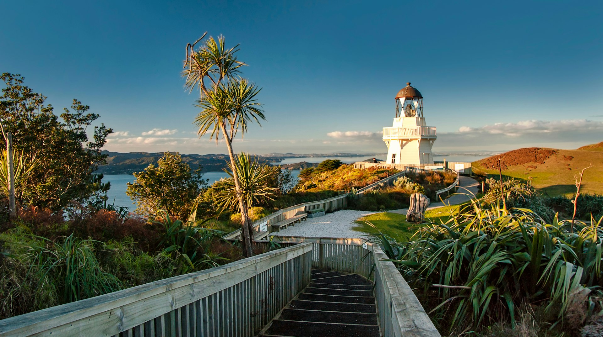 A wooden catwalk leads to the Manukau Heads Lighthouse, with trees and greenery plus a view of the Tasman Sea in the distance