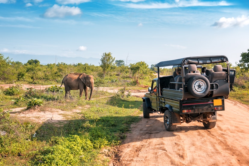 Live elephant on safari tour. Udawalawe Sri Lanka ©Vova Shevchuk/Shutterstock