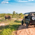 Live elephant on safari tour. Udawalawe Sri Lanka ©Vova Shevchuk/Shutterstock