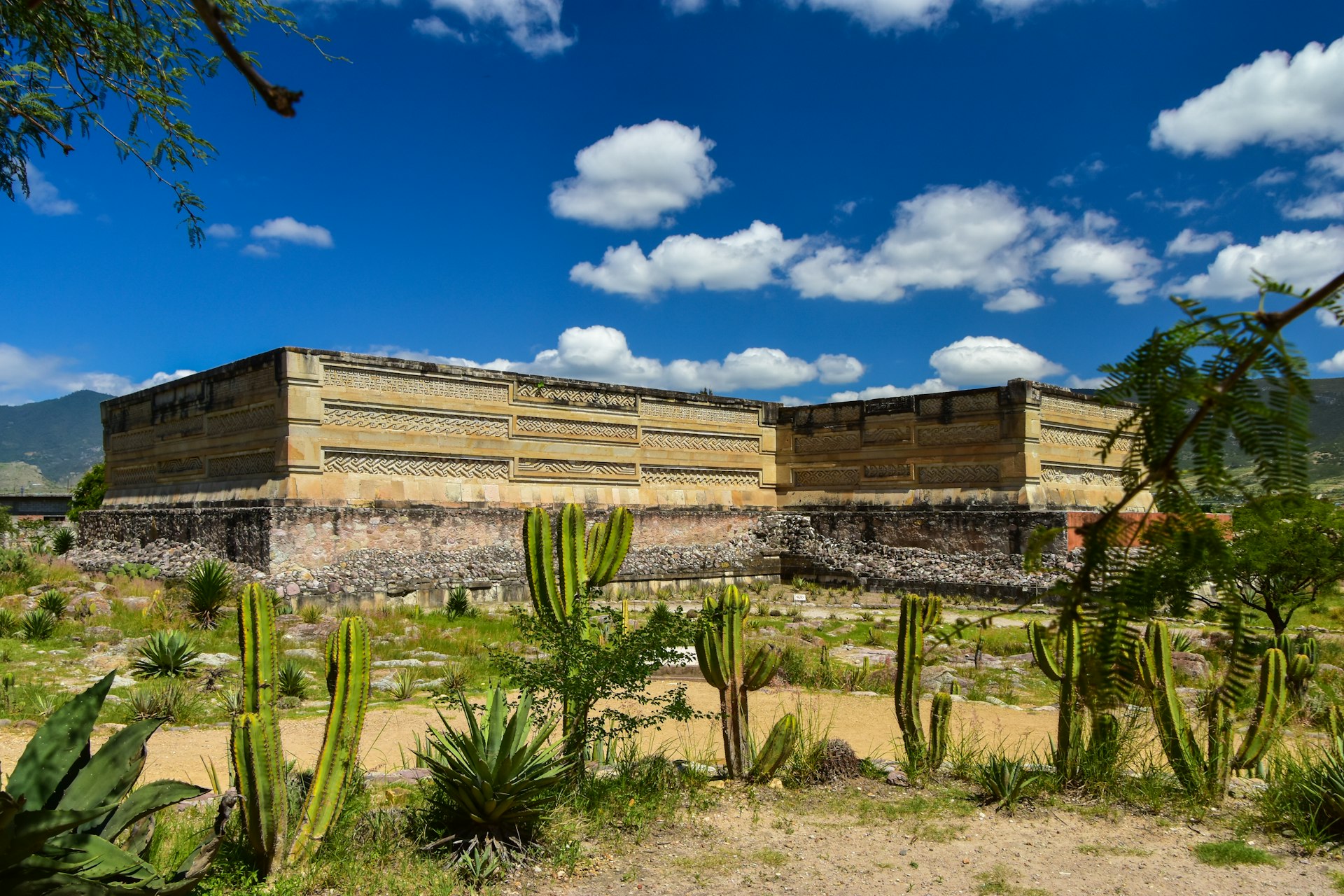 Zapotec ruins seen in front of agave plants under a blue sky at the Mitla archeological site