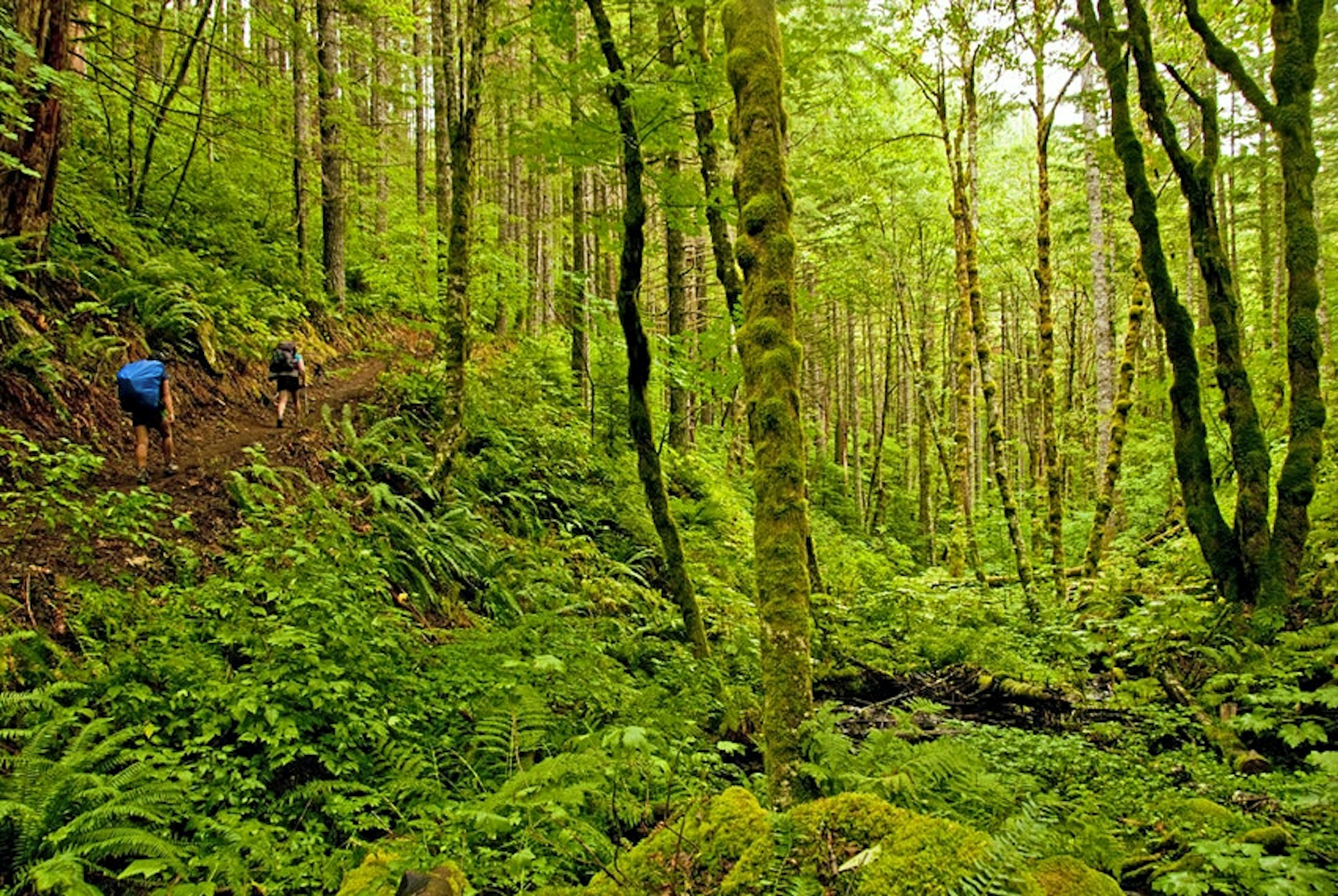 Cascade Locks on the Pacific Crest Trail