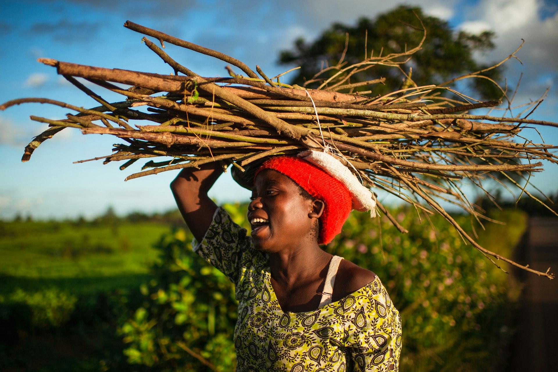 A Young African woman carrying a bundle of firewood on her head next to a tea plantation