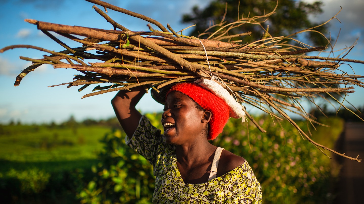 Selective Focus Happy Portrait of Young African woman carrying a bundle of firewood on her head next to a tea plantation Malawi