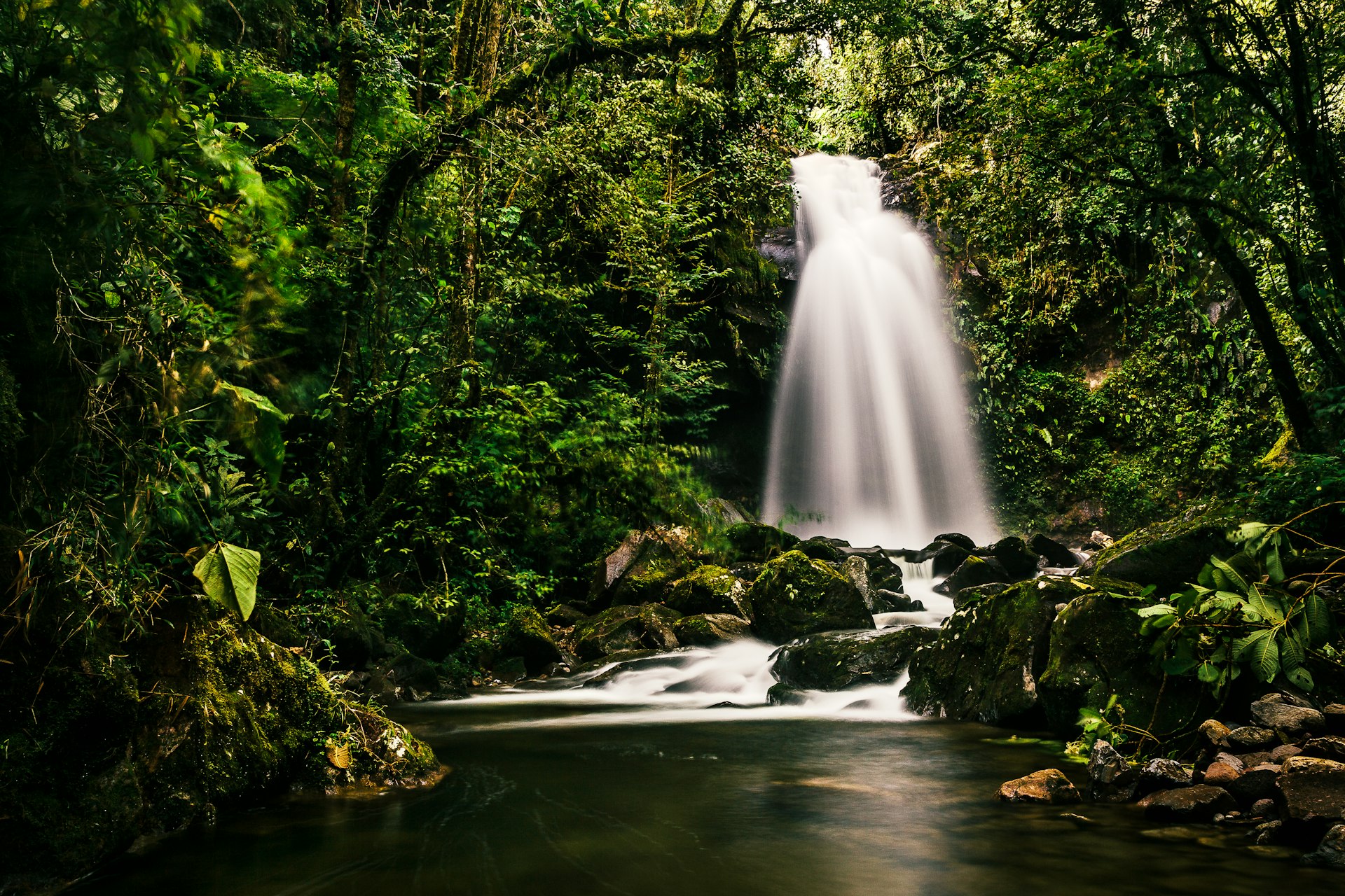 A beautiful mountain stream in the jungle forests near Boquete, Panama