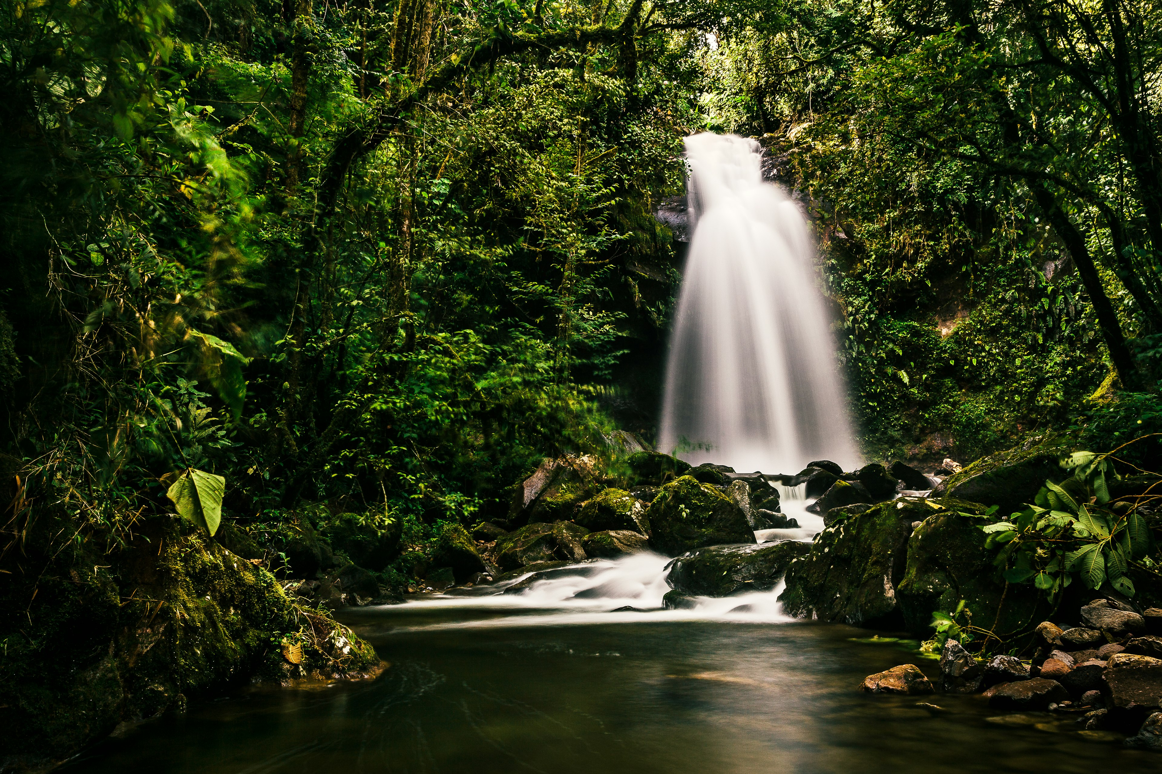 A beautiful mountain stream in the jungle forests near Boquete, Panama