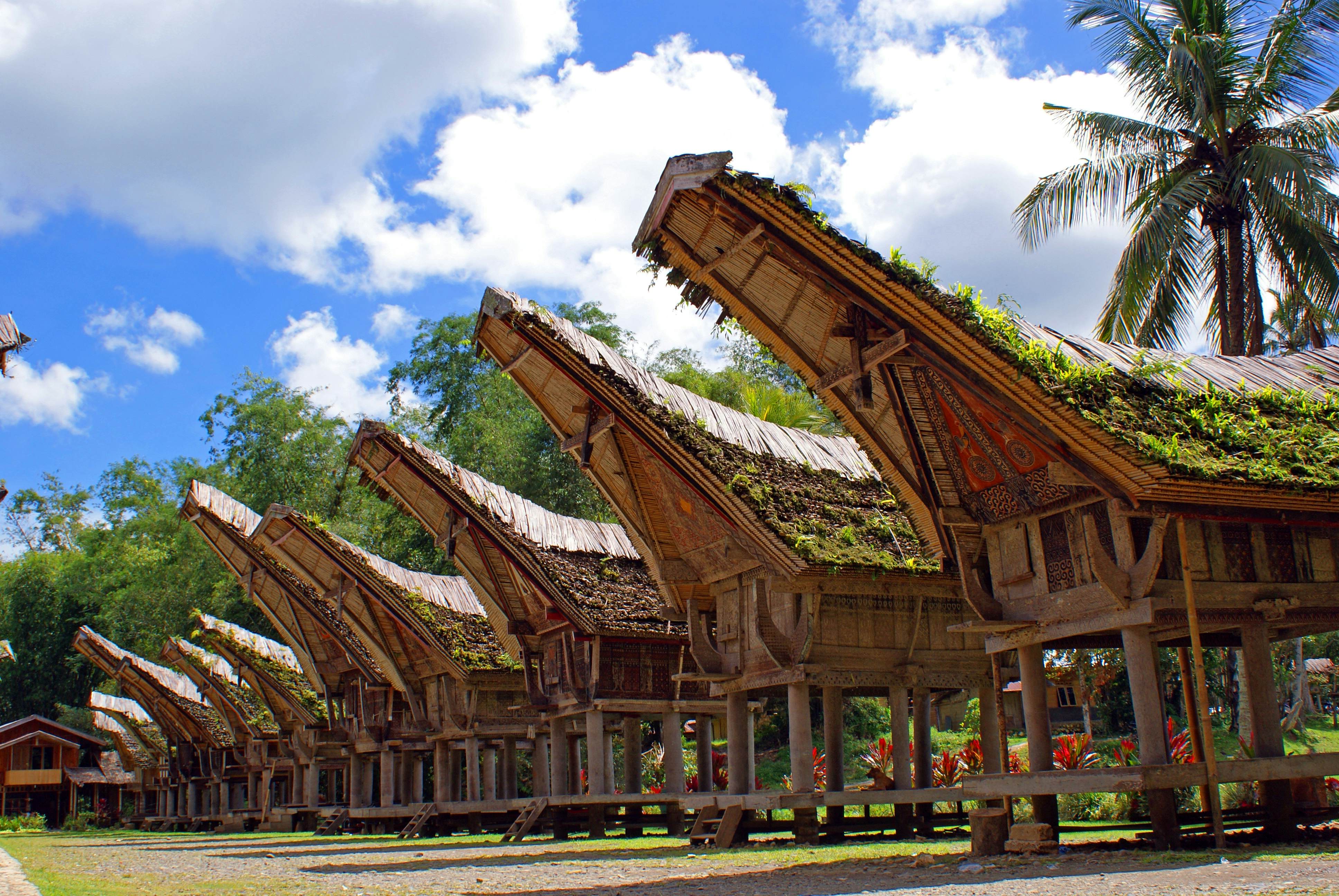 tana toraja travel