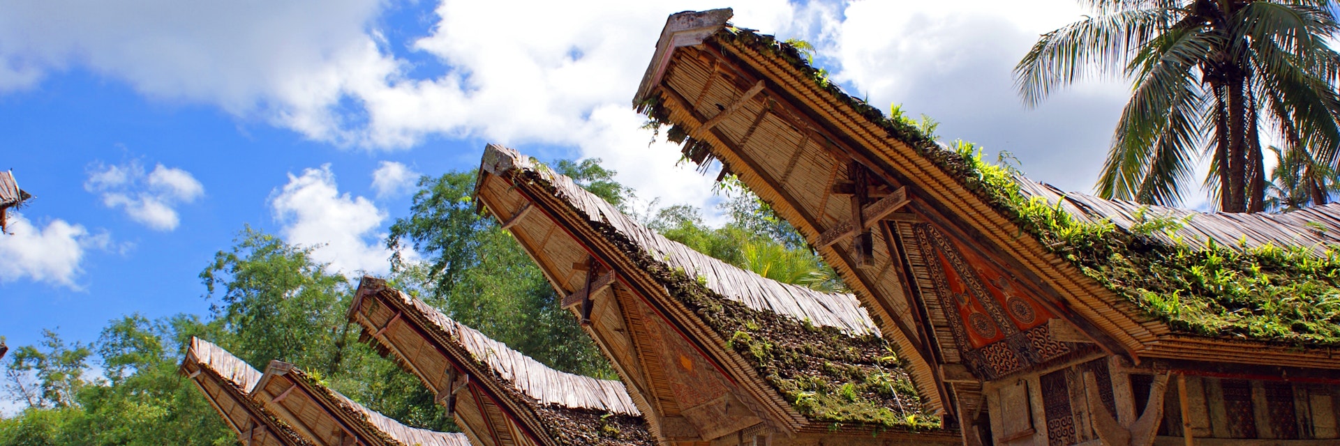 Huts built by Toraja peoples on a beach in Indonesia.