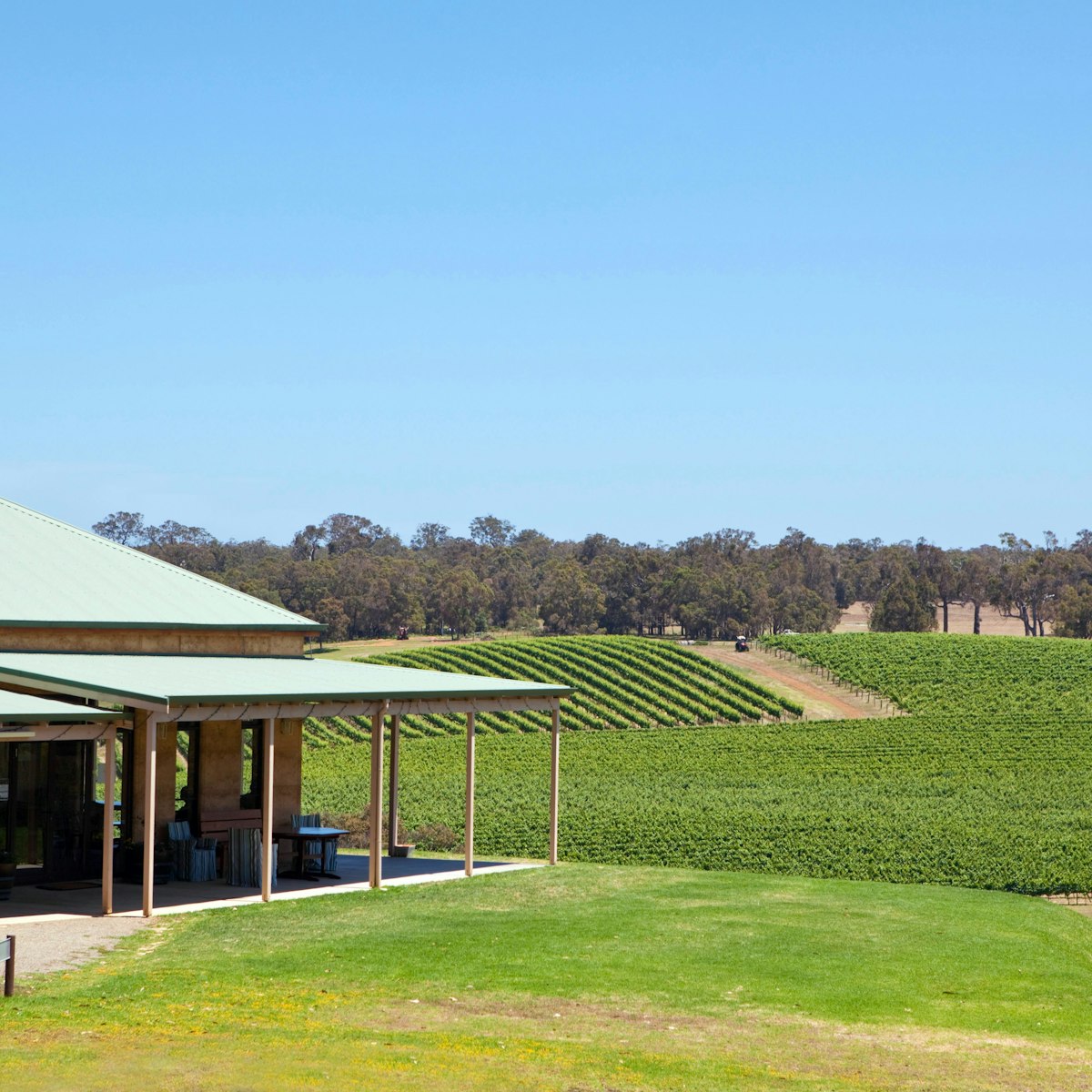 C467CM Montgomery's Hill Winery. Albany, Western Australia, Australia