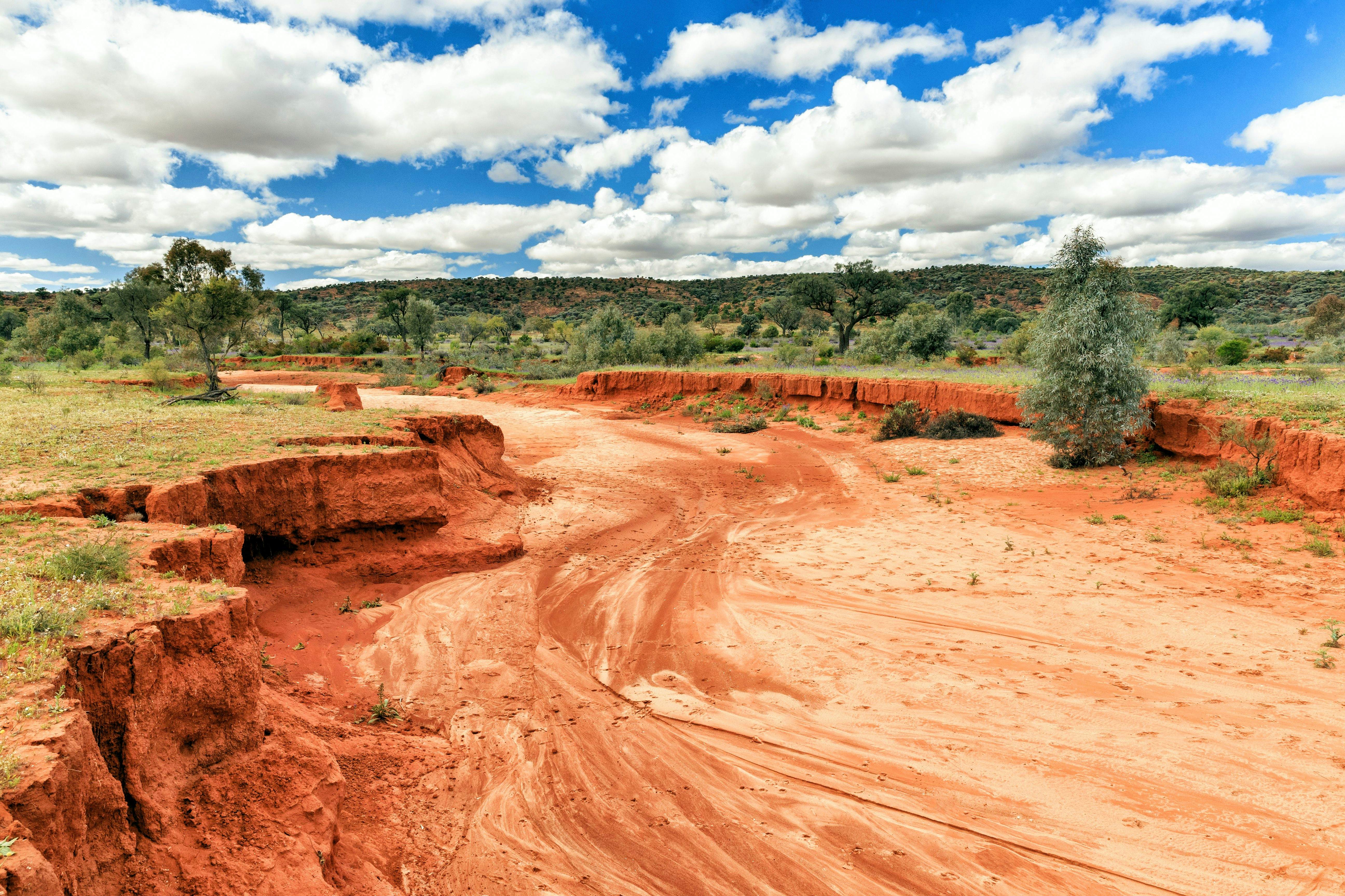 Dry River bed in the Mutawintji National Park, outback NSW Australia