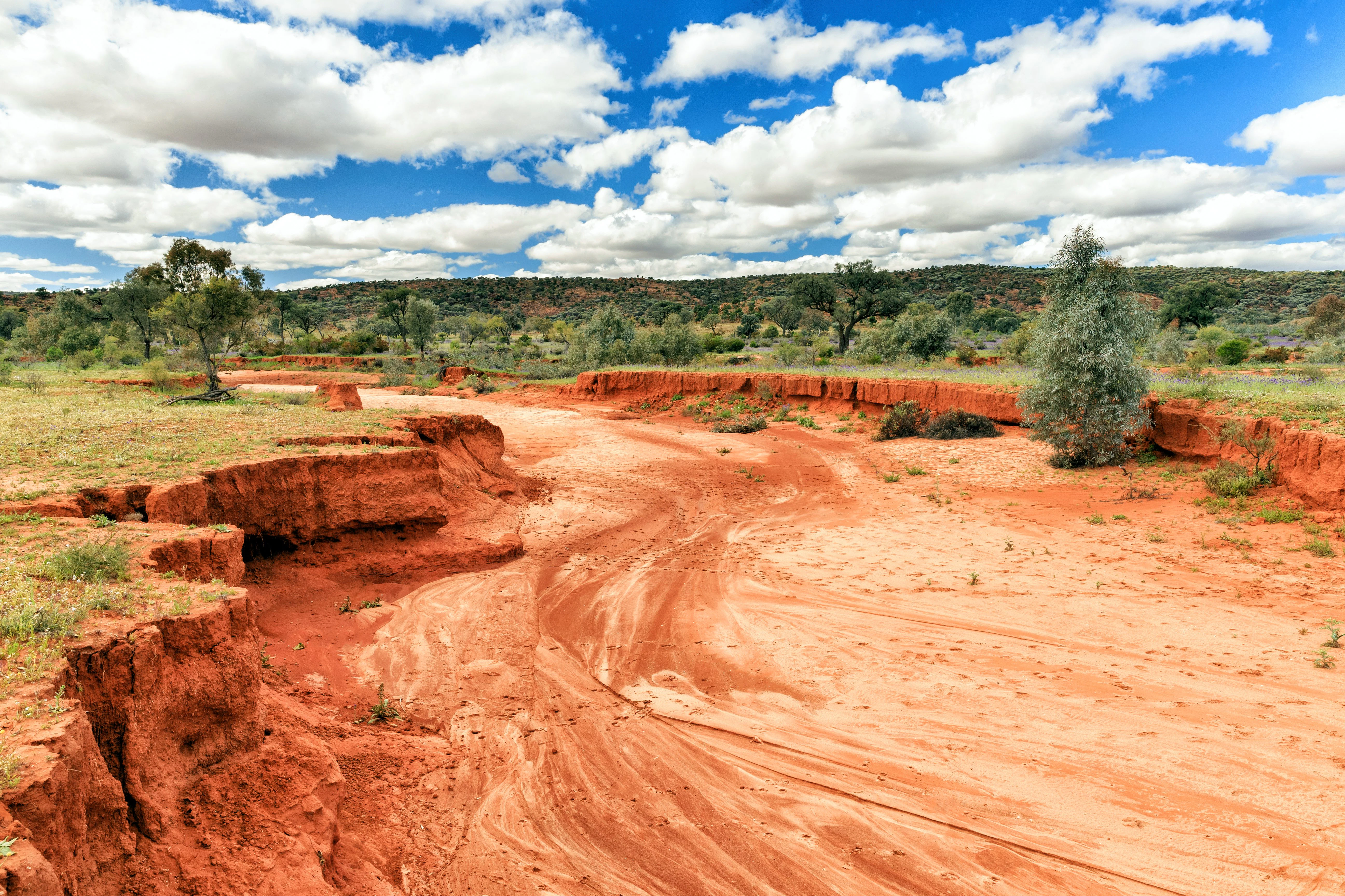 Dry River bed in the Mutawintji National Park, outback NSW Australia