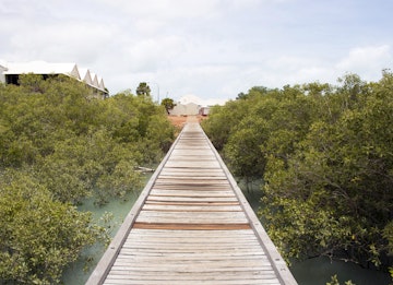 Historic Streeter's Jetty  in Broome, North Western Australia  built for pearl dealers and merchants in 1897 through the mangroves  in  Dampier Creek  is subject to huge tidal variations damaging  it.; Shutterstock ID 384044902; your: Bridget Brown; gl: 65050; netsuite: Online Editorial; full: POI Image Update