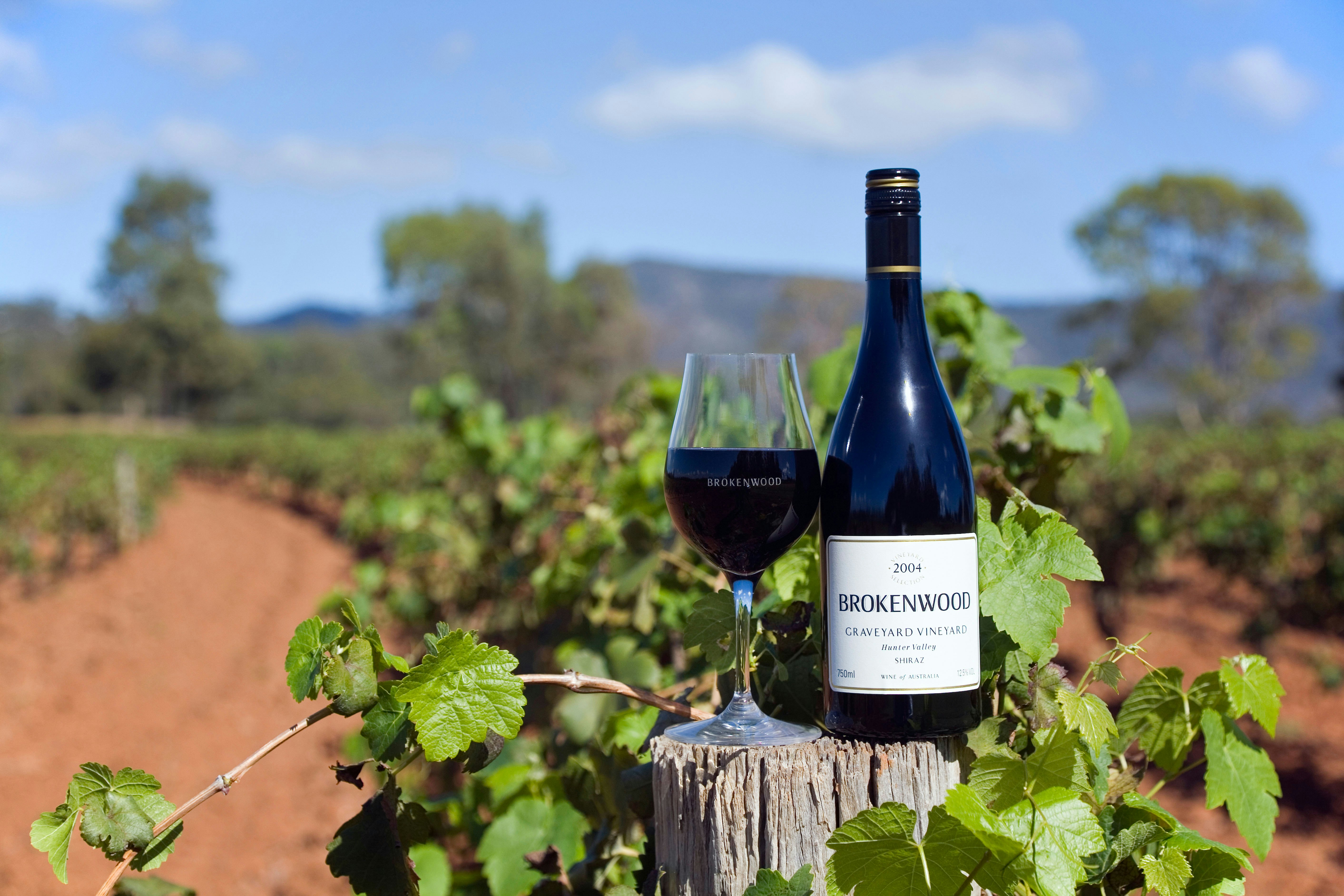 A8NMXG Wine country - Hunter Valley, New South Wales, AUSTRALIA. 
	
A bottle of Brokenwood Graveyard Shiraz amidst the Graveyard Vineyard in the Hunter Valley. The region is renowned for its Shiraz and Semillon wines
Image shot 2007. Exact date unknown.