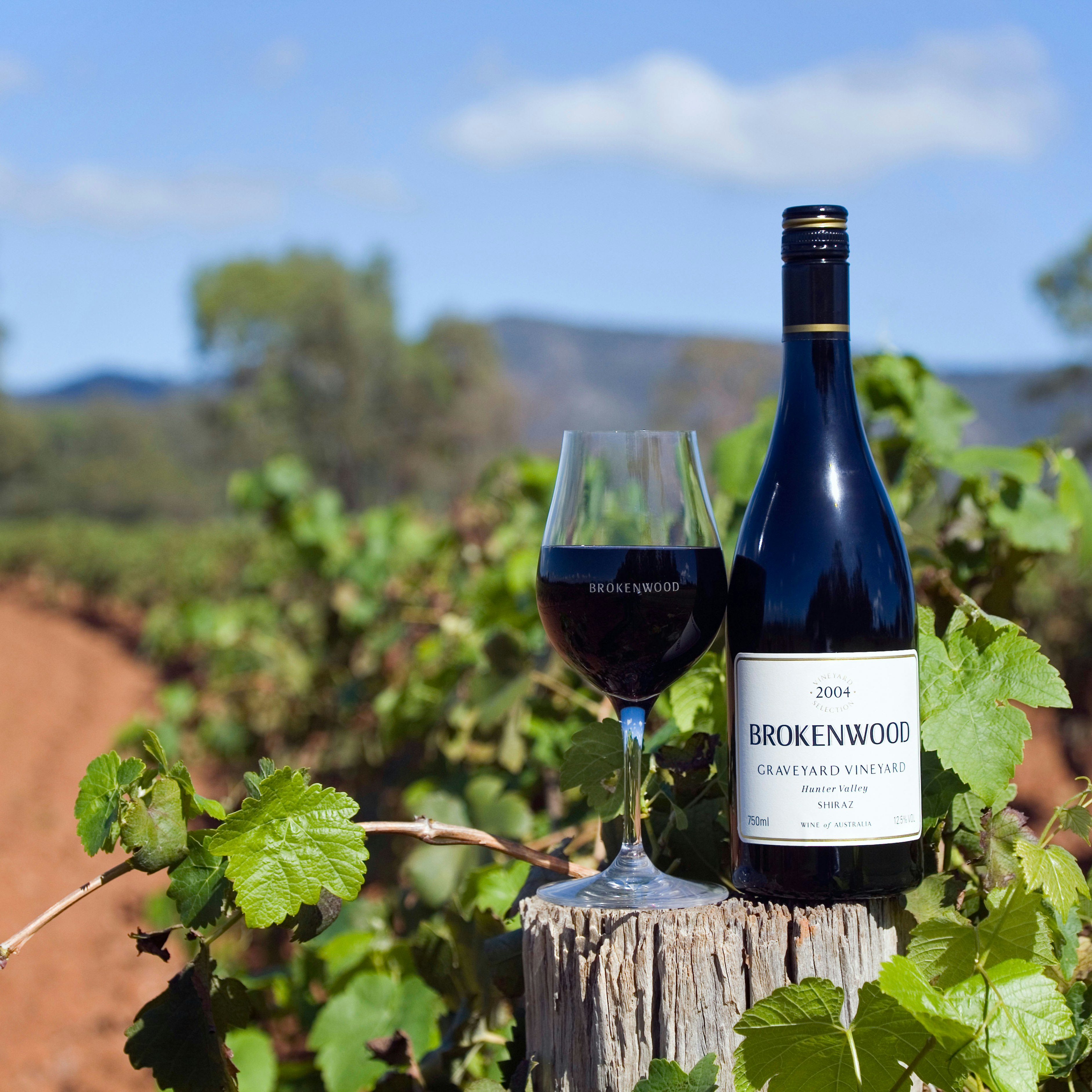 A8NMXG Wine country - Hunter Valley, New South Wales, AUSTRALIA.
A bottle of Brokenwood Graveyard Shiraz amidst the Graveyard Vineyard in the Hunter Valley. The region is renowned for its Shiraz and Semillon wines
Image shot 2007. Exact date unknown.