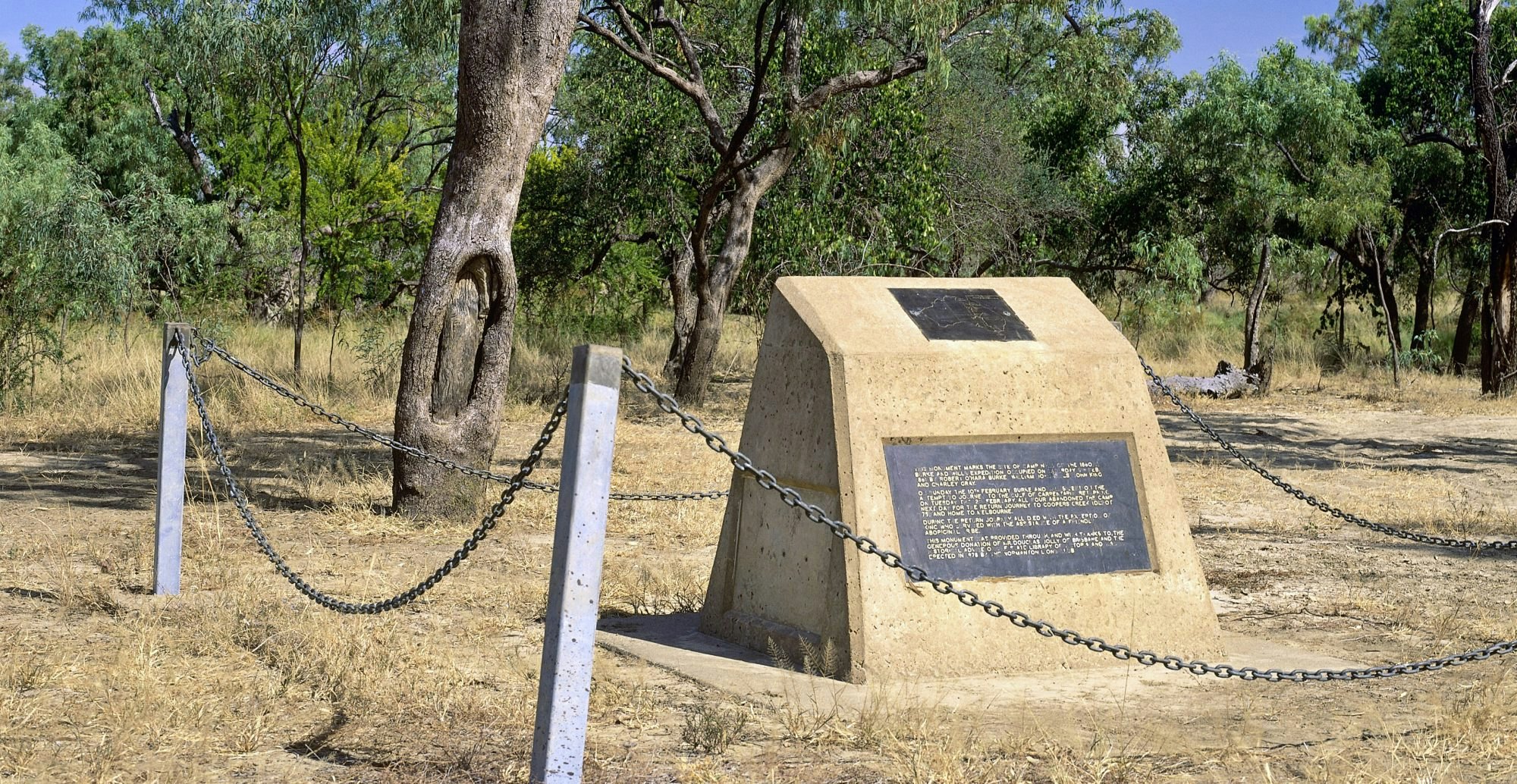 Burke & Wills - tree and site of camp 119 - stock photo
