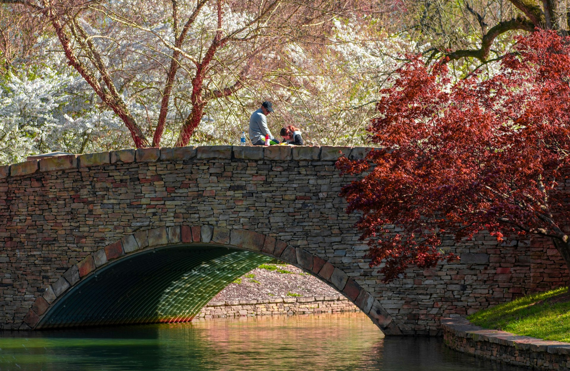 A man sitting on the stone bridge at Freedom Park in Charlotte, NC looks down at a woman who appears to be drawing. There is a body of water under the bridge and blooming tree on the right side of the image.