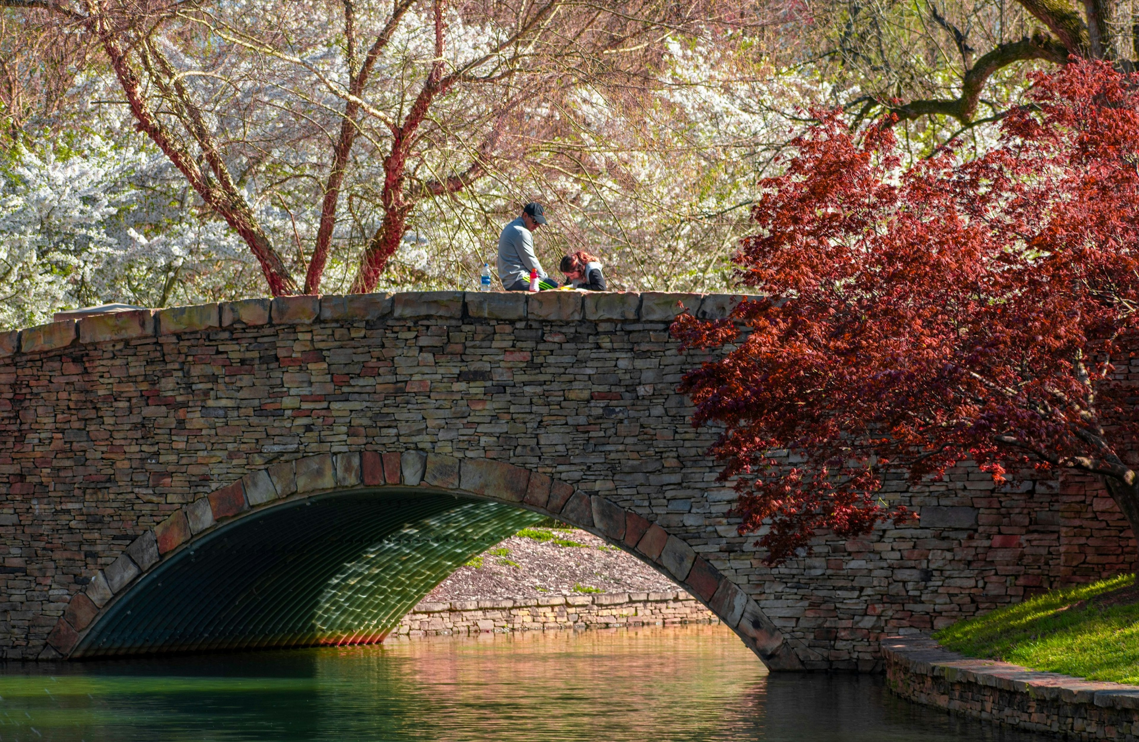 A man sitting on the stone bridge at Freedom Park in Charlotte, NC looks down at a woman who appears to be drawing. There is a body of water under the bridge and a blooming tree on the right side of the image.