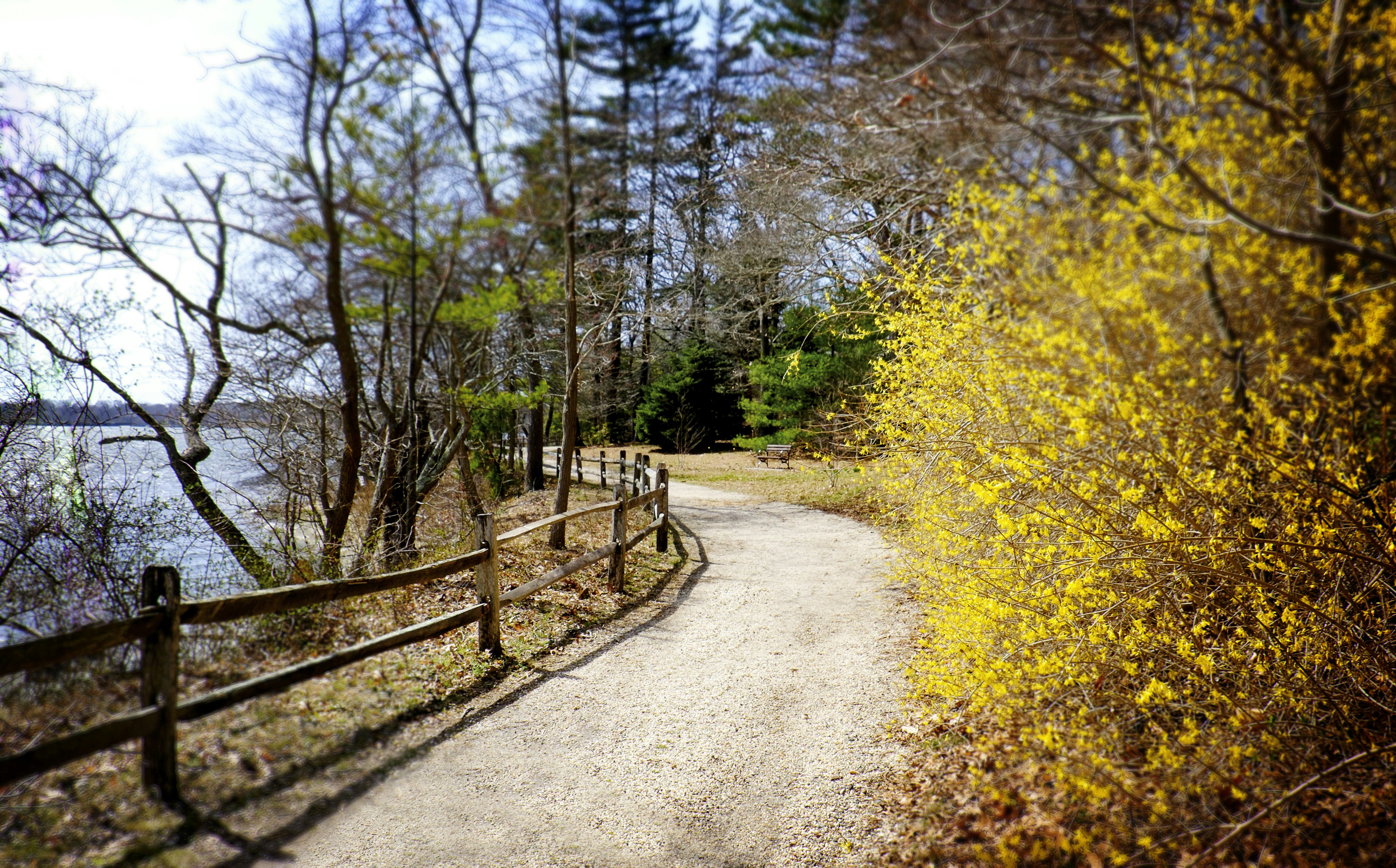 A landscape view of part of the Empire State Trail in Long Island, NY