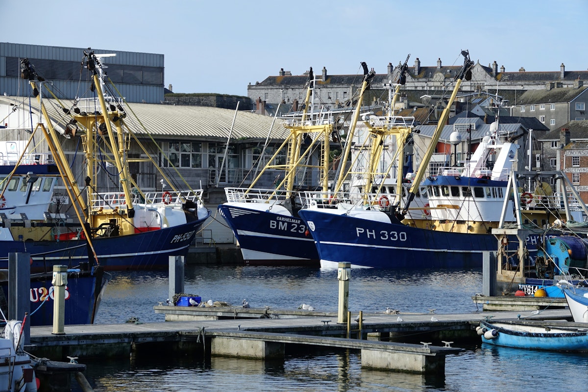 Plymouth England August 2020.  The fish market with the deep sea fishing fleet moored alongside the quay. Boats registered in Plymouth and Brixham. Light cloud