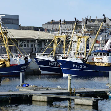 Plymouth England August 2020. The fish market with the deep sea fishing fleet moored alongside the quay. Boats registered in Plymouth and Brixham. Light cloud