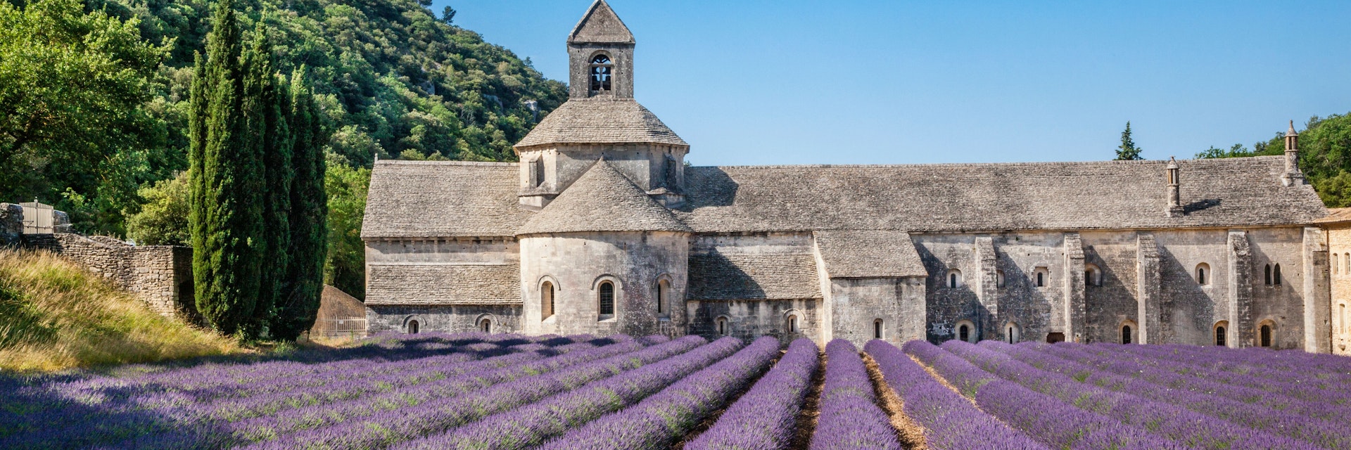 France, Provence-Alpes-Cote d'Azur, Vaucluse, Luberon, Sénanque Abbey, Abbaye Notre-Dame de Sénanque, view of the Cistercian abbey with lavender fields
Sénanque Abbey with lavender fields - stock photo
