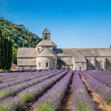 Abbaye Notre-Dame de Sénanque and lavender fields.