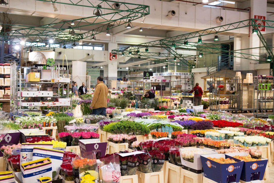 Paris, France / May 13th 2018: A wide angle photo includes people shopping for flowers at Rungis Market outside of Paris, France. Rungis Market is the largest horticulture market in the world.