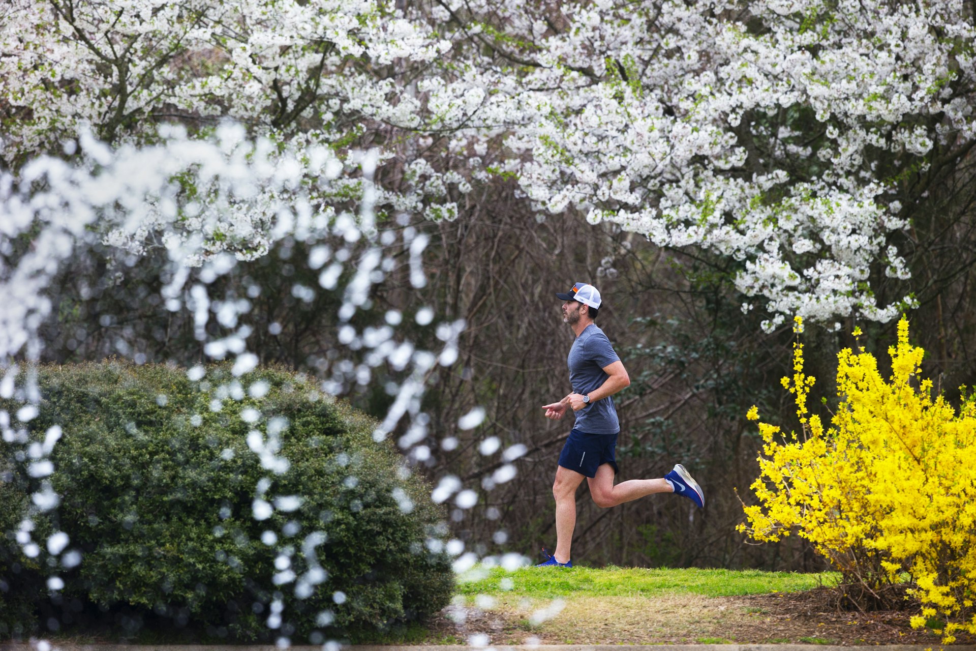 Former NASCAR driver Jimmie Johnson runs around Freedom Park in Charlotte, NC during the spring. The trees are in full bloom. 