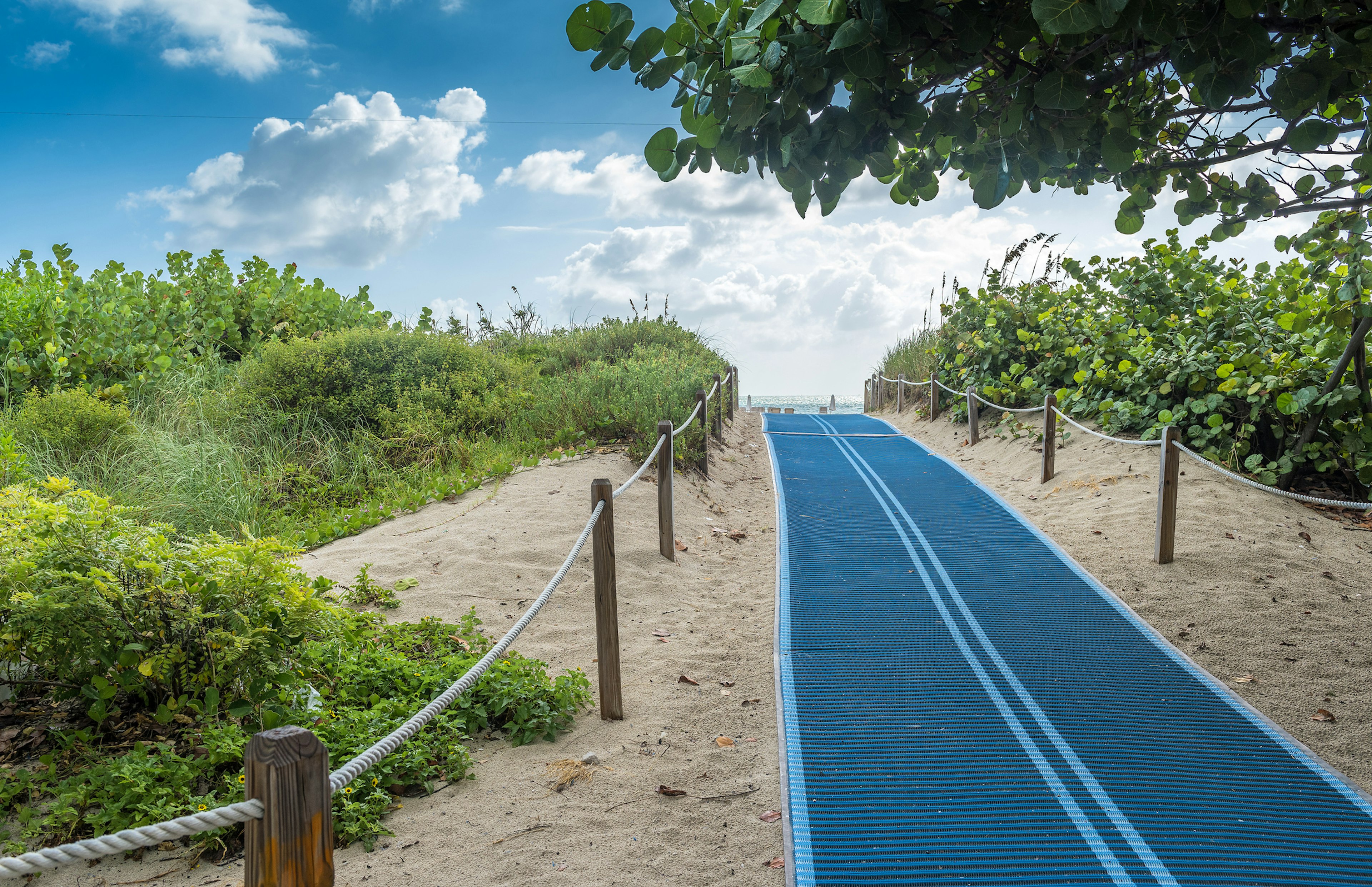 Blue pathway helping people with physical impairment going thru the beach sand.