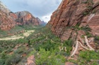 The trail to Angels Landing in Zion National Park.