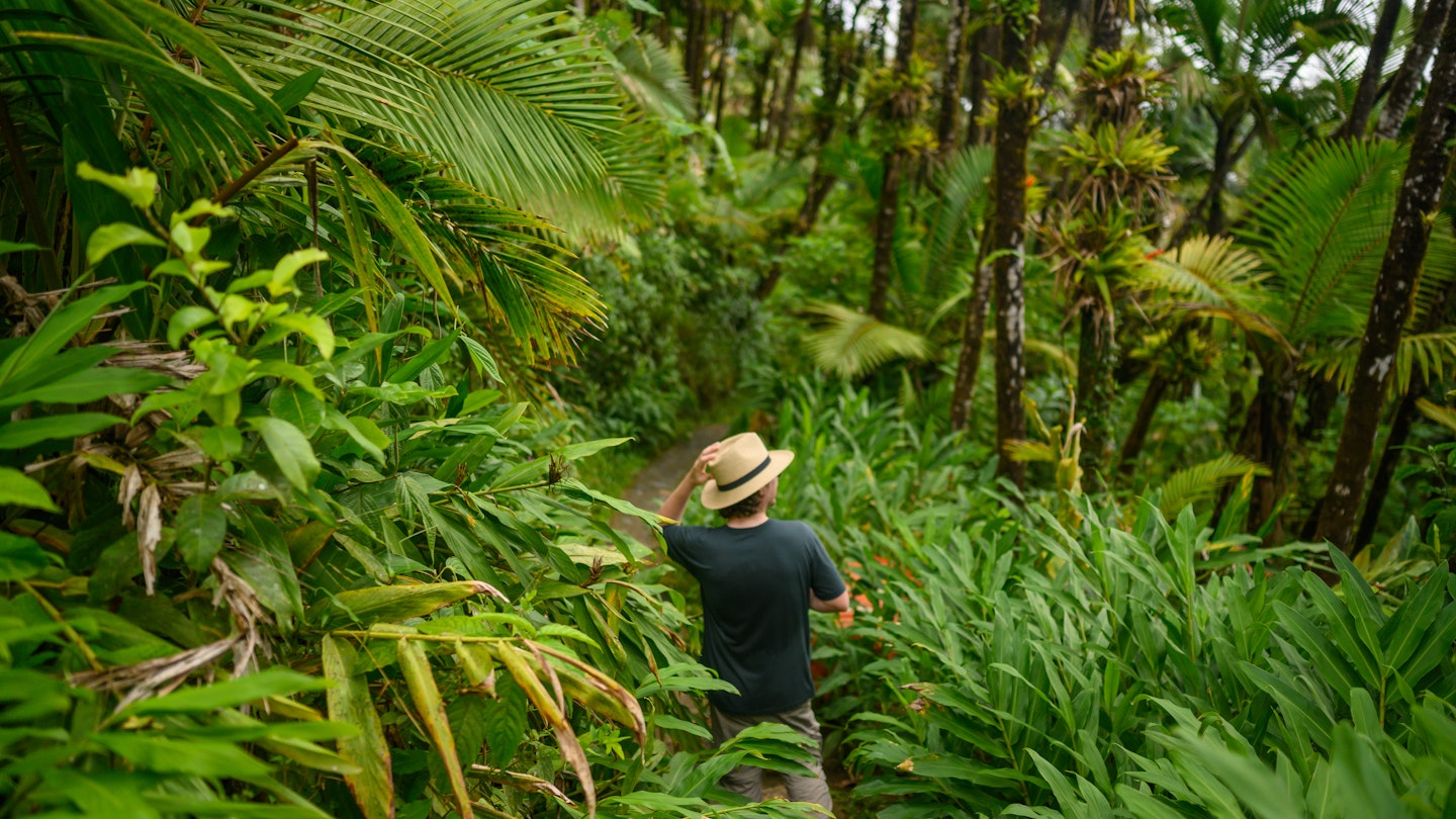 A man hiking in El Yunque National Forest in Puerto Rico