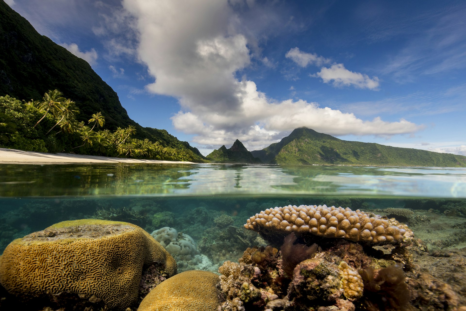 A coral reef in the National Park of American Samoa, Ofu Island