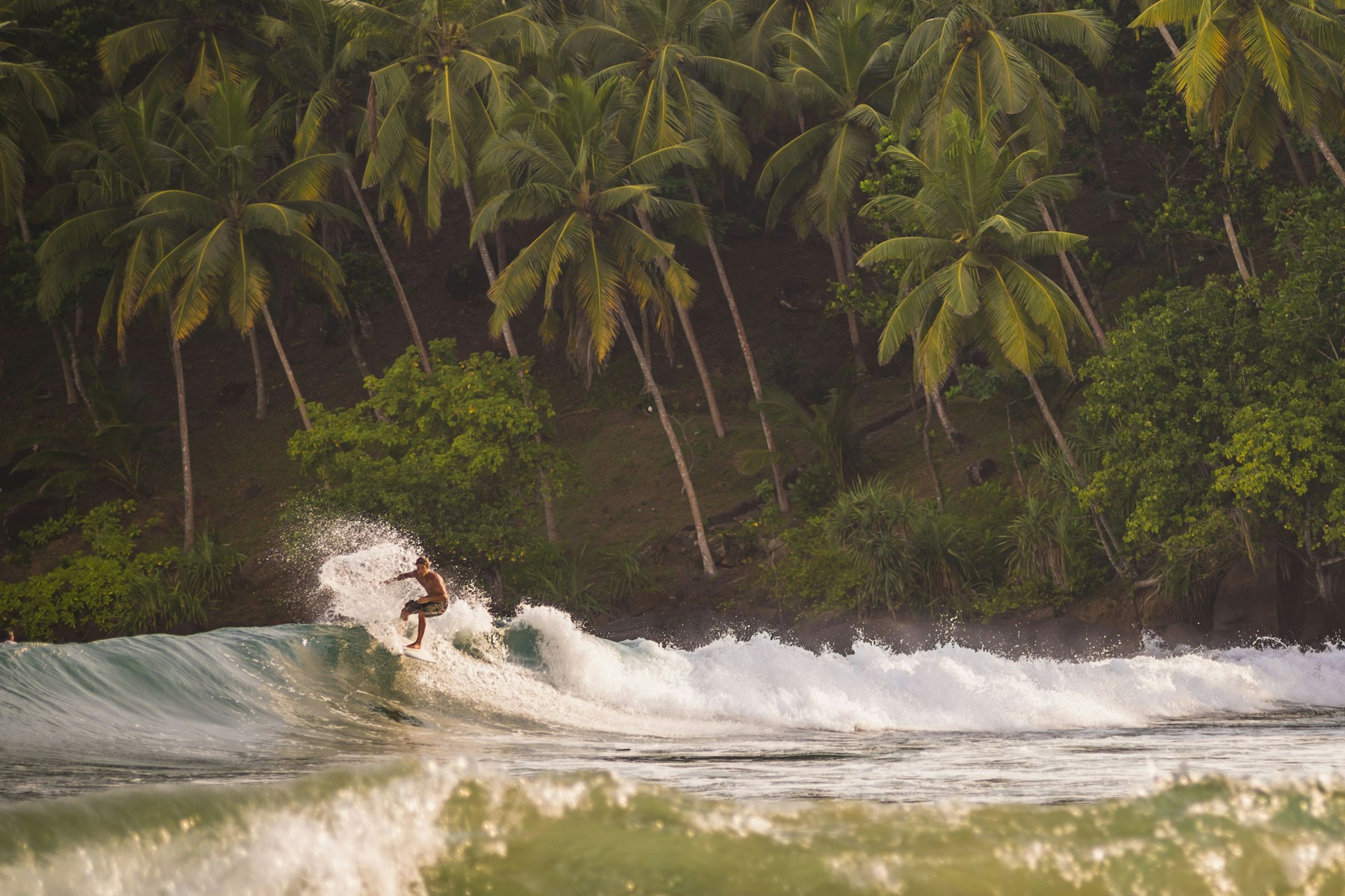 Mirissa Beach, surfer surfing at sunset, South Coast of Sri Lanka, Southern Province, Asia