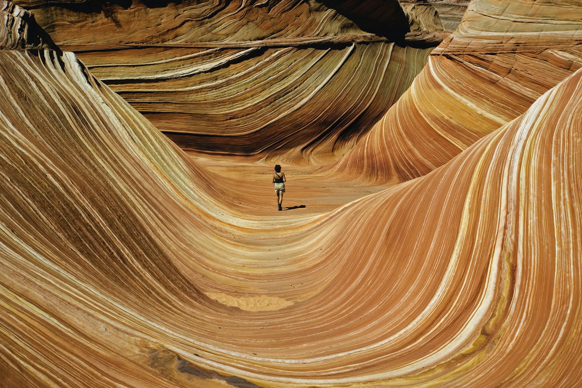 USA, Arizona/Utah border, woman walking across The Wave, rear view