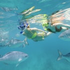 Two young women snorkeling in the Caribbean Sea off Barbados.