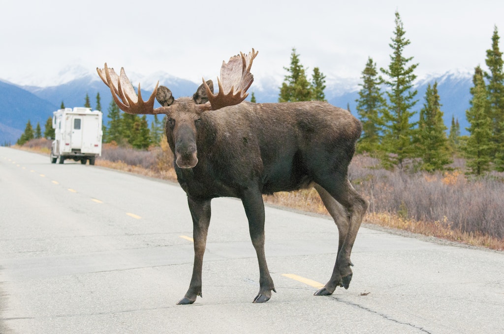 The 10 best US national parks for RV campers in 2023 - Lonely Planet