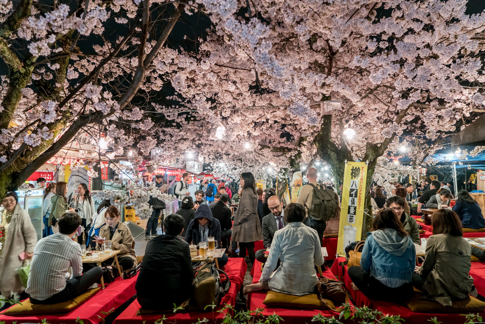 Best time to visit Japan – Lonely Planet - Lonely Planet