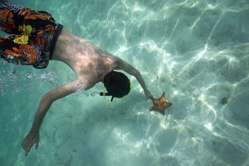 Snorkeller touching starfish on seabed