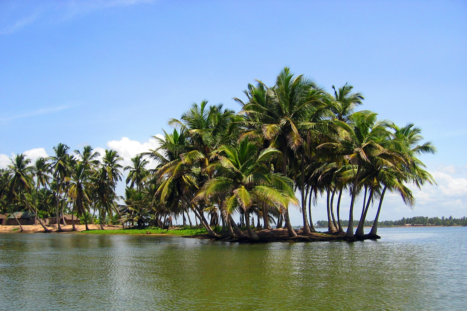 Blue sky and palm trees by a lagoon just where the River Volta meets the sea, the Atlantic Ocean and the Gulf of Guinea