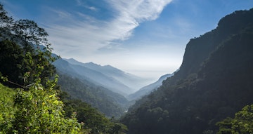 A misty valley in a tree-filled Nilgiris mountain range of Tamil Nadu, on the way to Ooty/Ootacamund from Coimbatore.