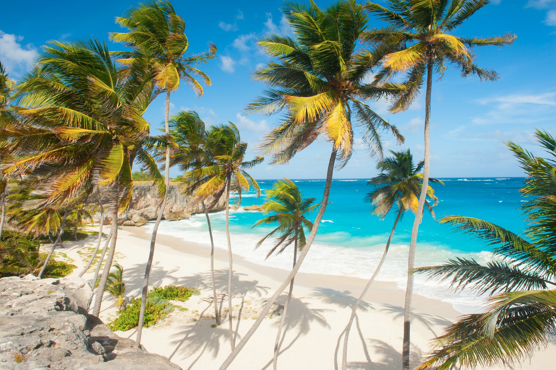 Palm trees and white sand at Bottom Bay, Barbados