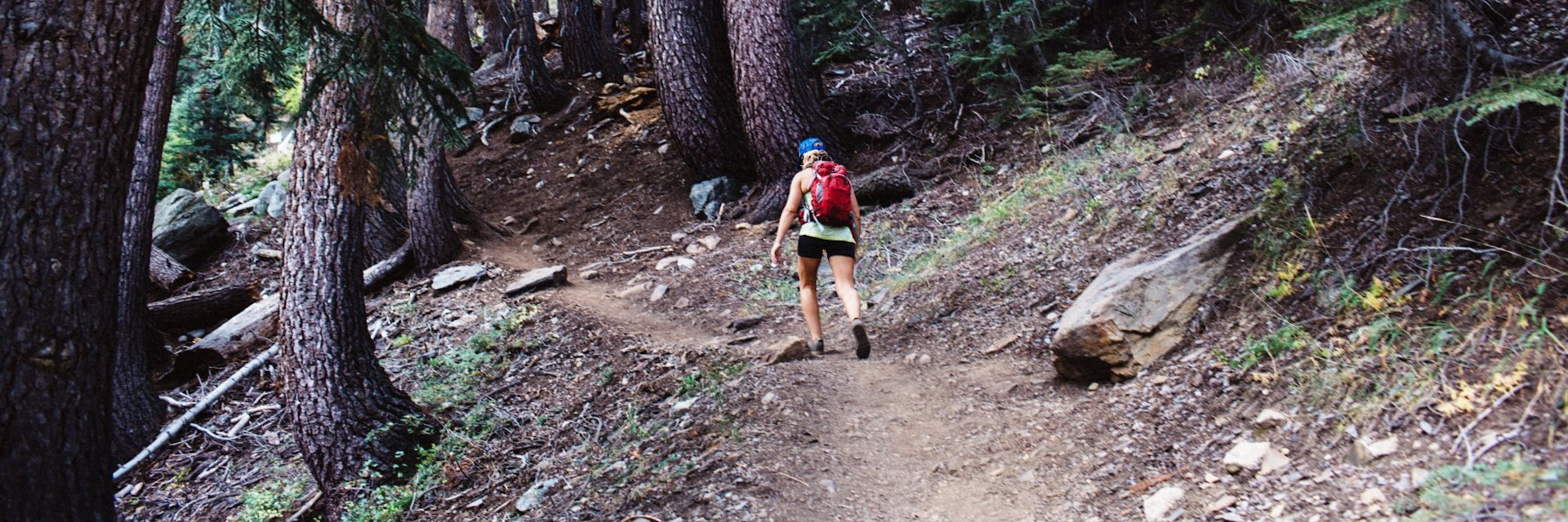 Woman hiking through forest, rear view, Mineral King, Sequoia National Park, California, USA