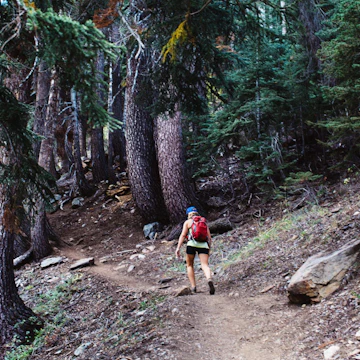 Woman hiking through forest, rear view, Mineral King, Sequoia National Park, California, USA