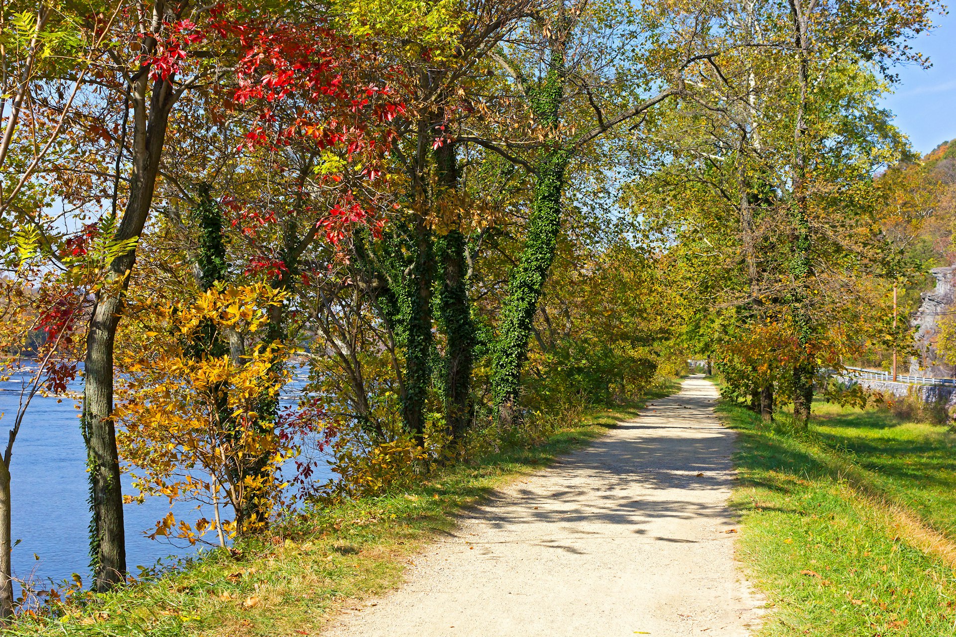 Colourful deciduous trees growing on the Appalachian Trail