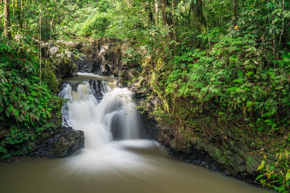 Long exposure of a waterfall in the rainforest at Tawau Hills Park.